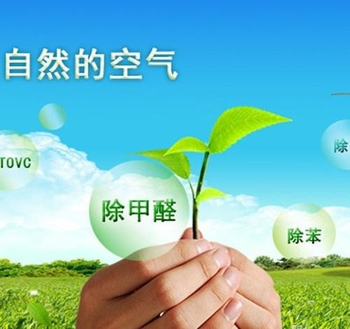 除甲醛加盟的将来市场前景如何