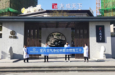 沁雅大成天下除甲醛