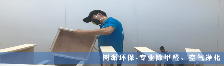 树派环保-教育机构除甲醛