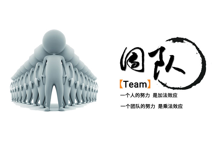 团队