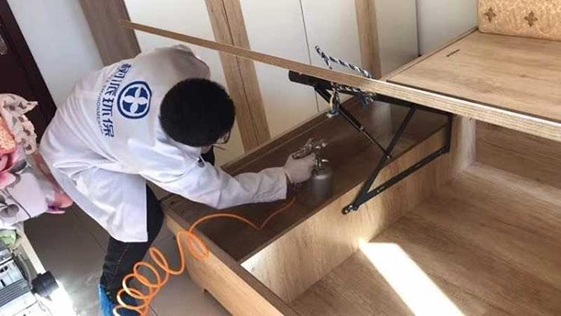 树派除甲醛公司