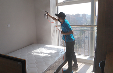 室内空气净化,室内空气治理,树派除甲醛