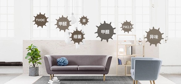 装修后除甲醛该怎样选择除甲醛公司？杭州除甲醛哪家好？