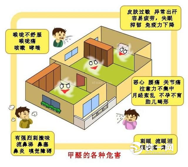 常见的除甲醛误区
