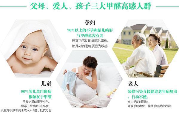揭秘母婴级除甲醛行业的佼佼者——杭州树派除甲醛