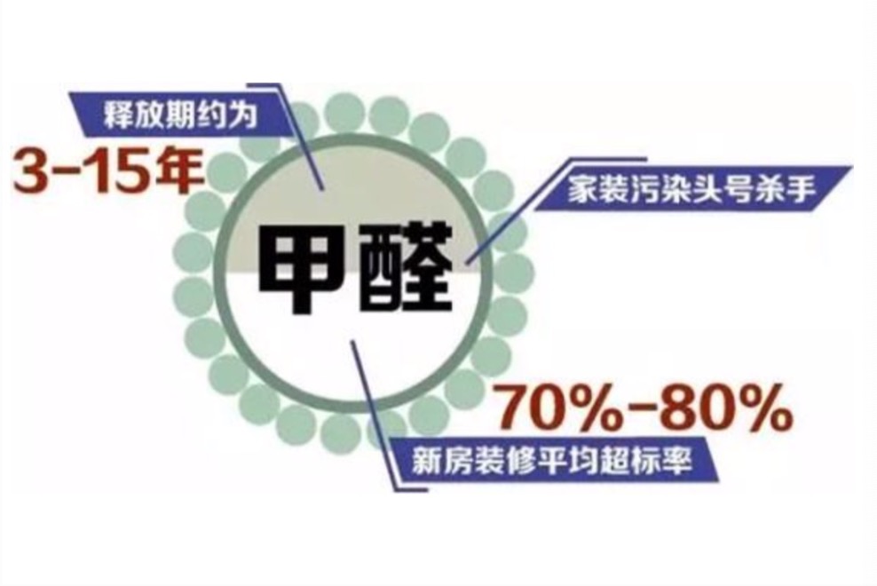 杭州除甲醛树派环保：打造健康家居新标准