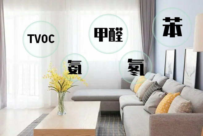 除甲醛项目加盟哪一家公司比较好