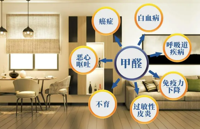 除甲醛项目市场前景与盈利潜力分析