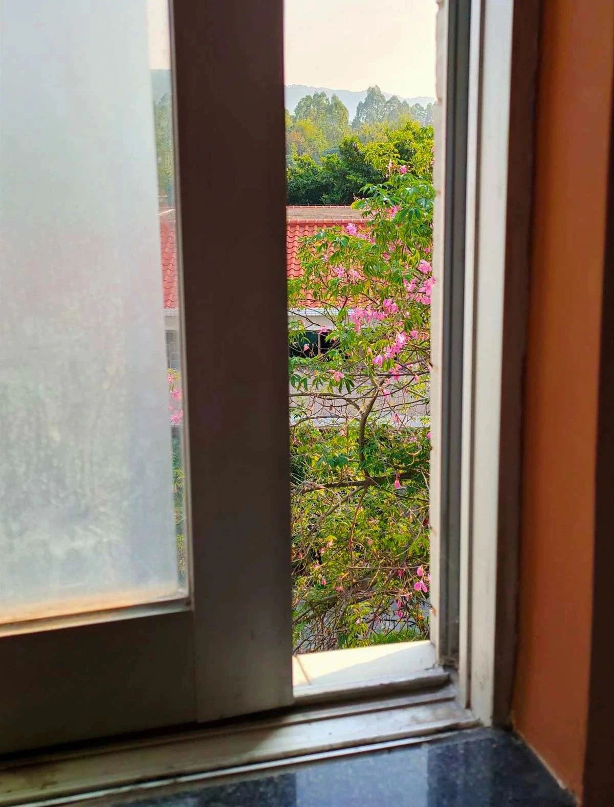 窗户开一半，甲醛跑一半，保持这个好习惯，提前一个月入住