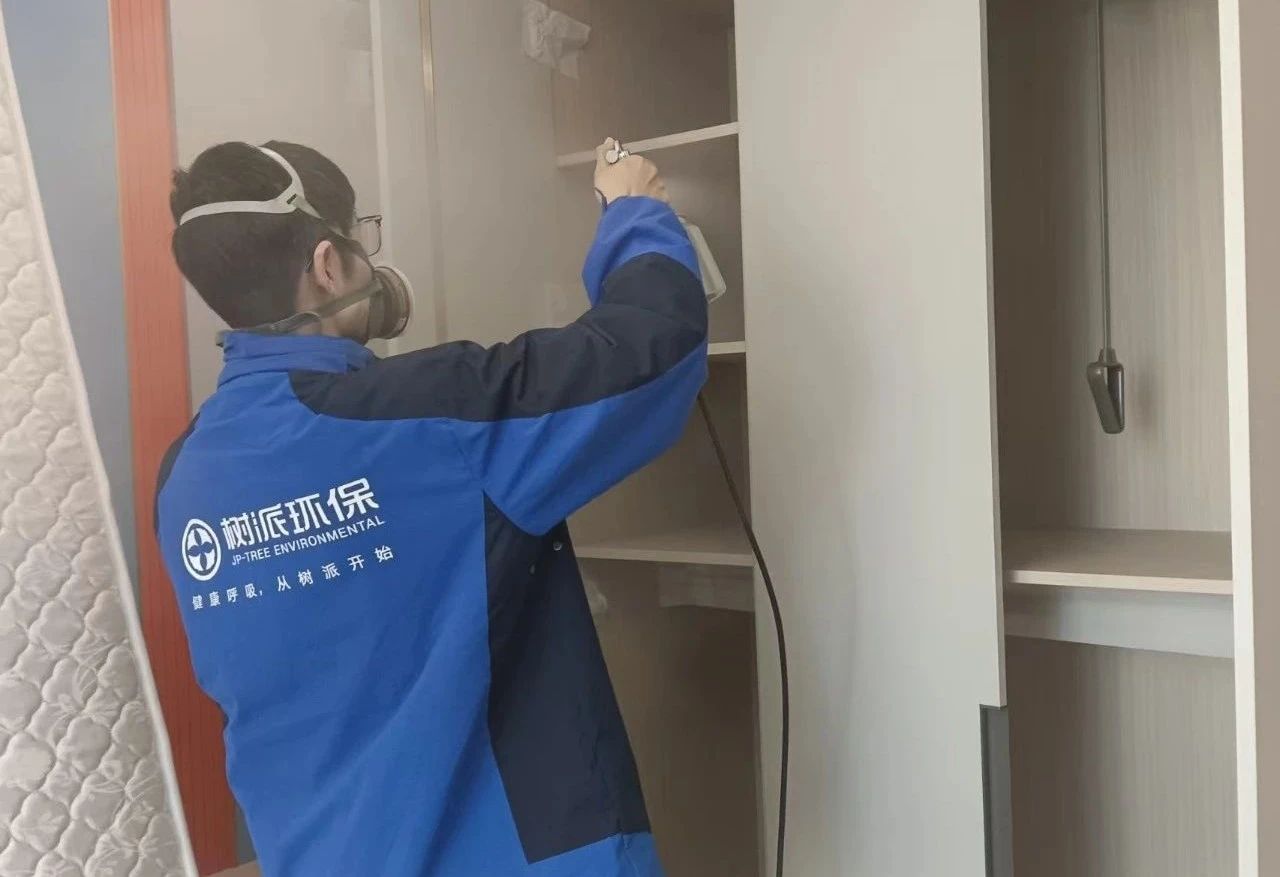 树派除甲醛多少钱一平米？（2025年版）