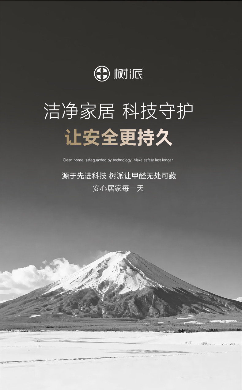 树派除甲醛-让安全更持久